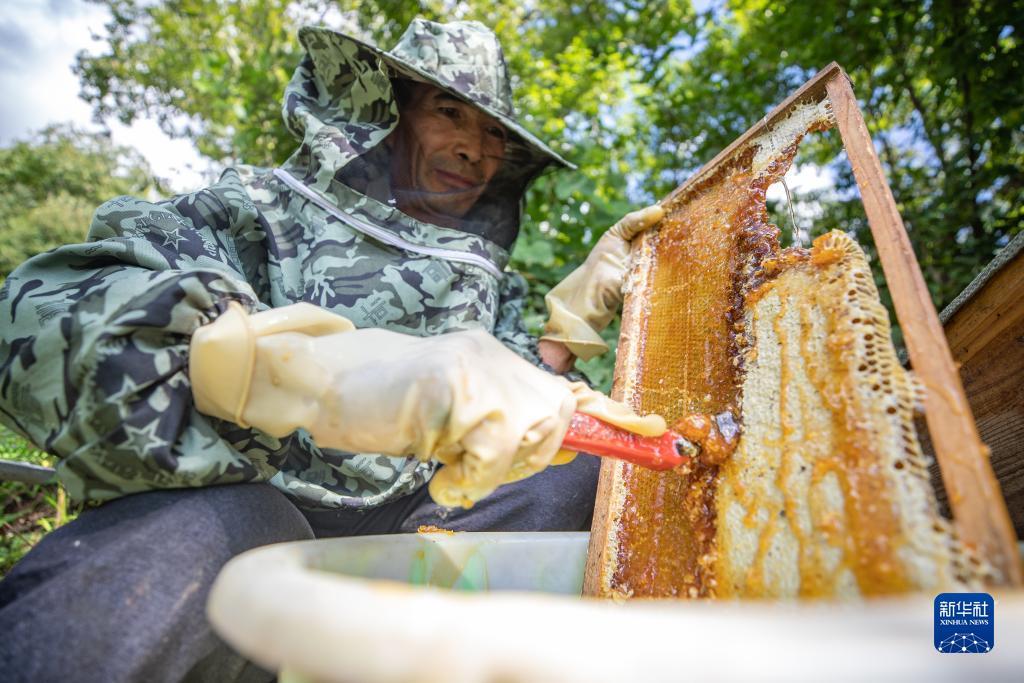 玩游戏赢现金